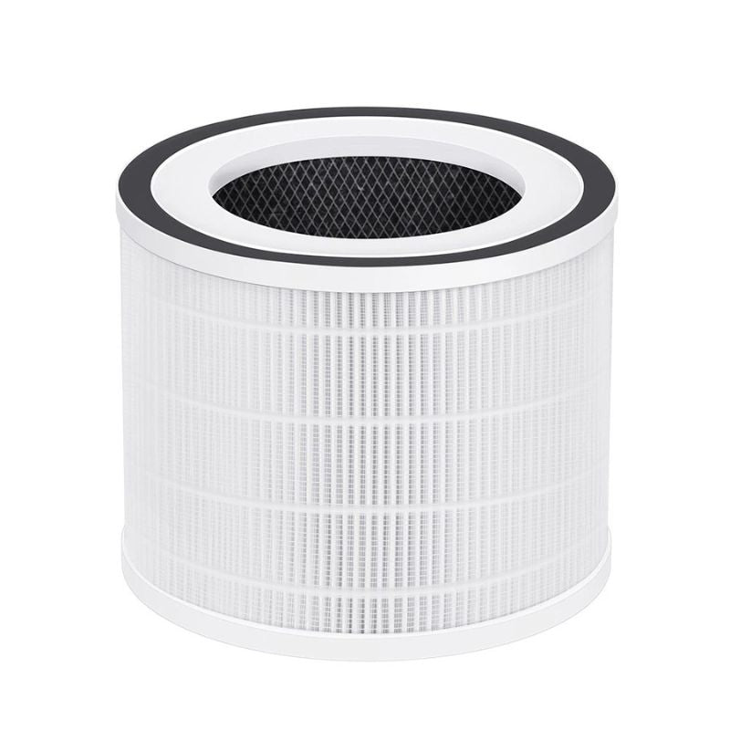 Prism+ Aura Compatible Hepa & Carbon Filter