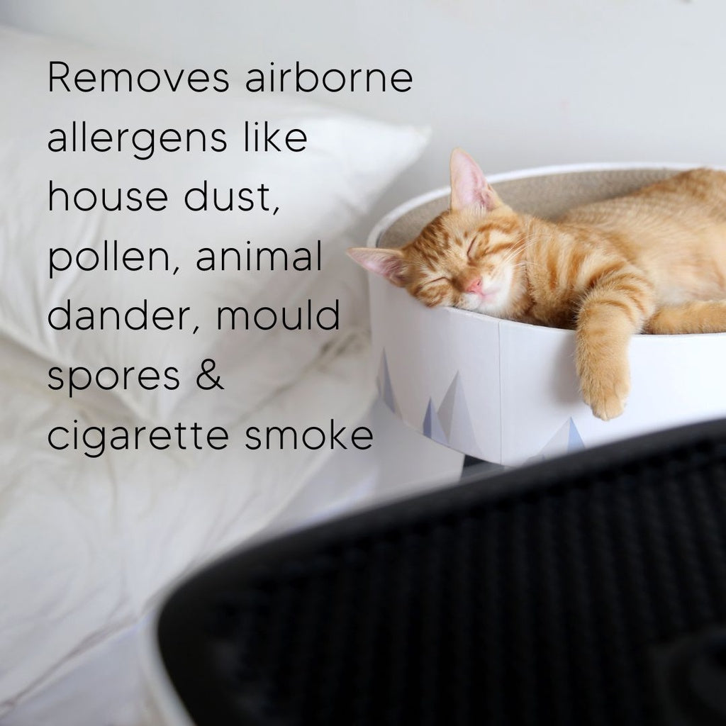 Smart Air The Sqair Air Purifier [HepaPure]