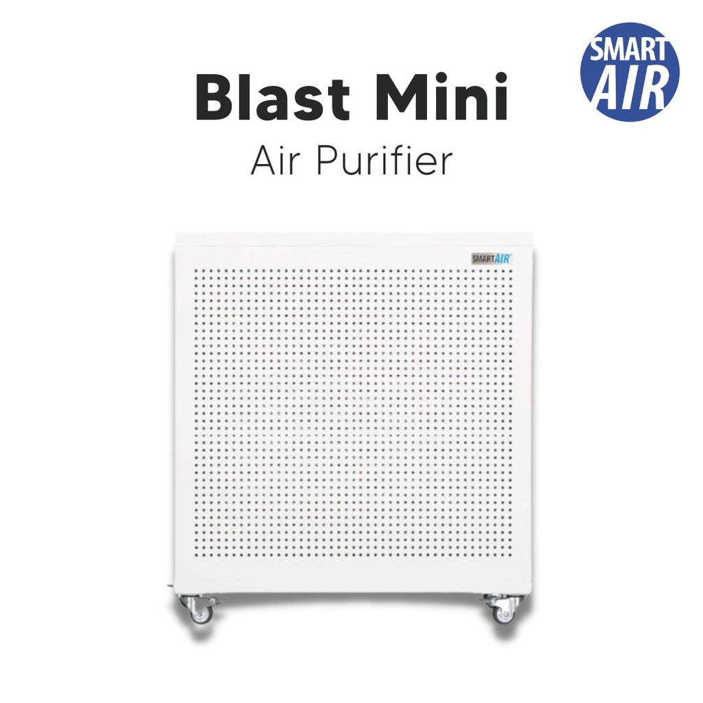 Smart Air Blast Mini Air Purifier [HepaPure]