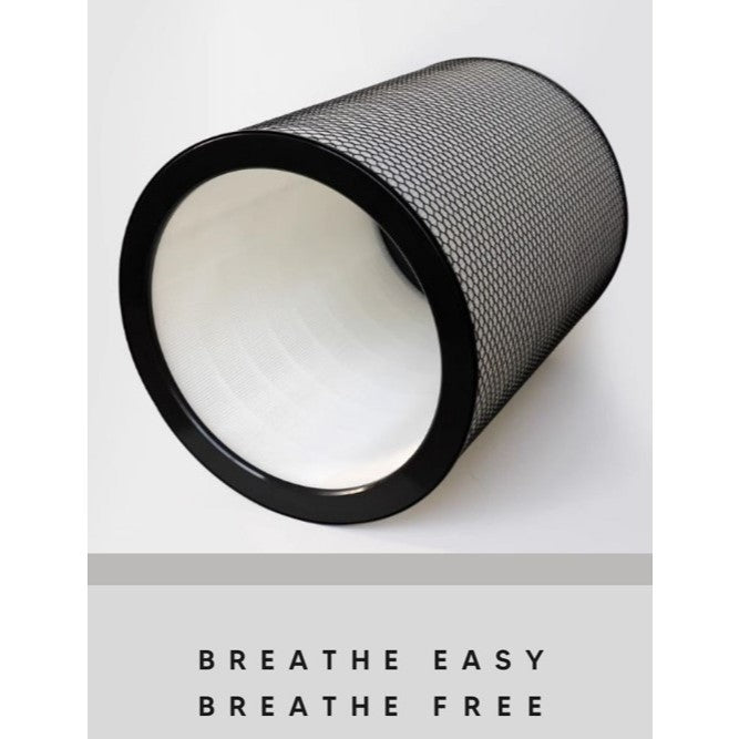 Dyson BP03 BP04 BP06 Compatible Replacement Filters [HepaPure]